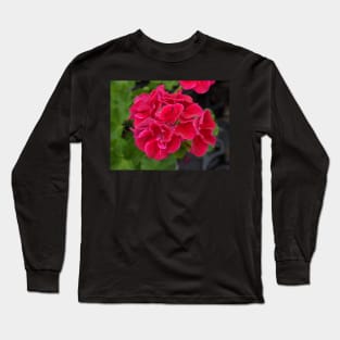 Cluster of Red Flowers Photographic Image Long Sleeve T-Shirt